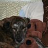 PEKOE USES NAP PROPS