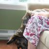I AM NOT A PATIENT PEKOE