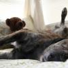 RECOVERY NAP